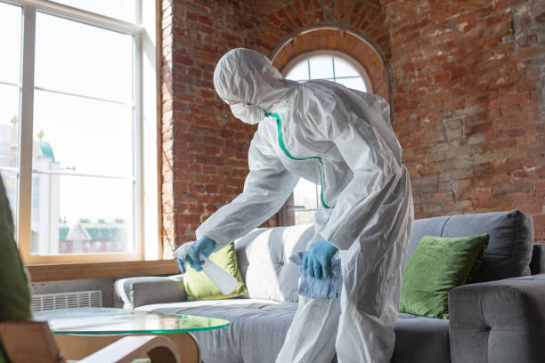 Trusted Mineola, NY Mold Removal Experts